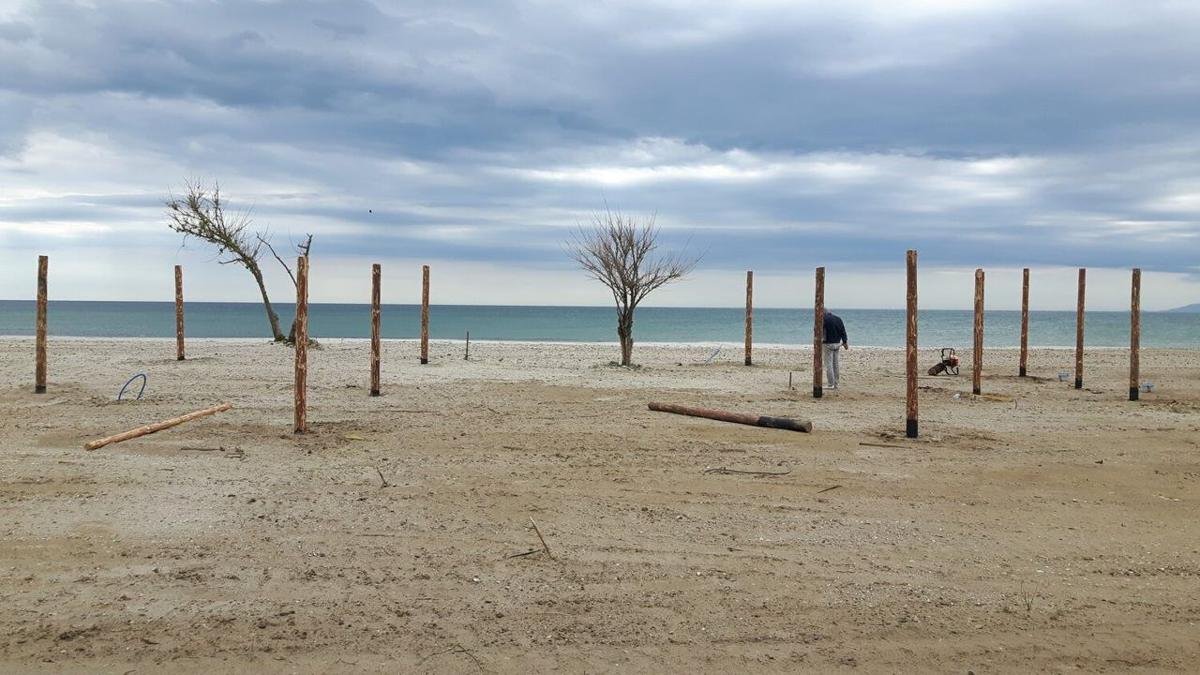 WOOD island — έργο